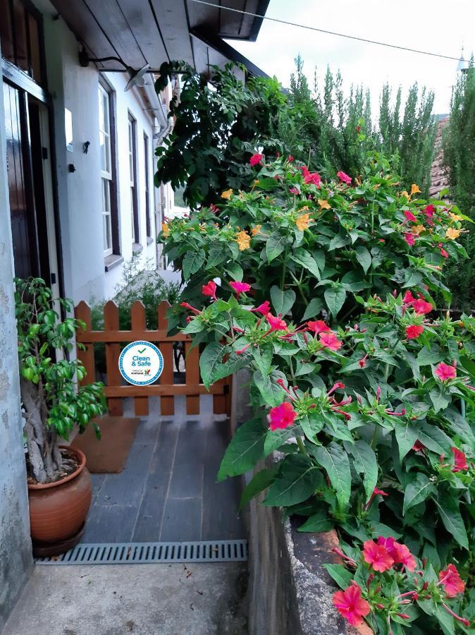 Casa Do Sr. Falcao Miranda do Corvo Exterior foto
